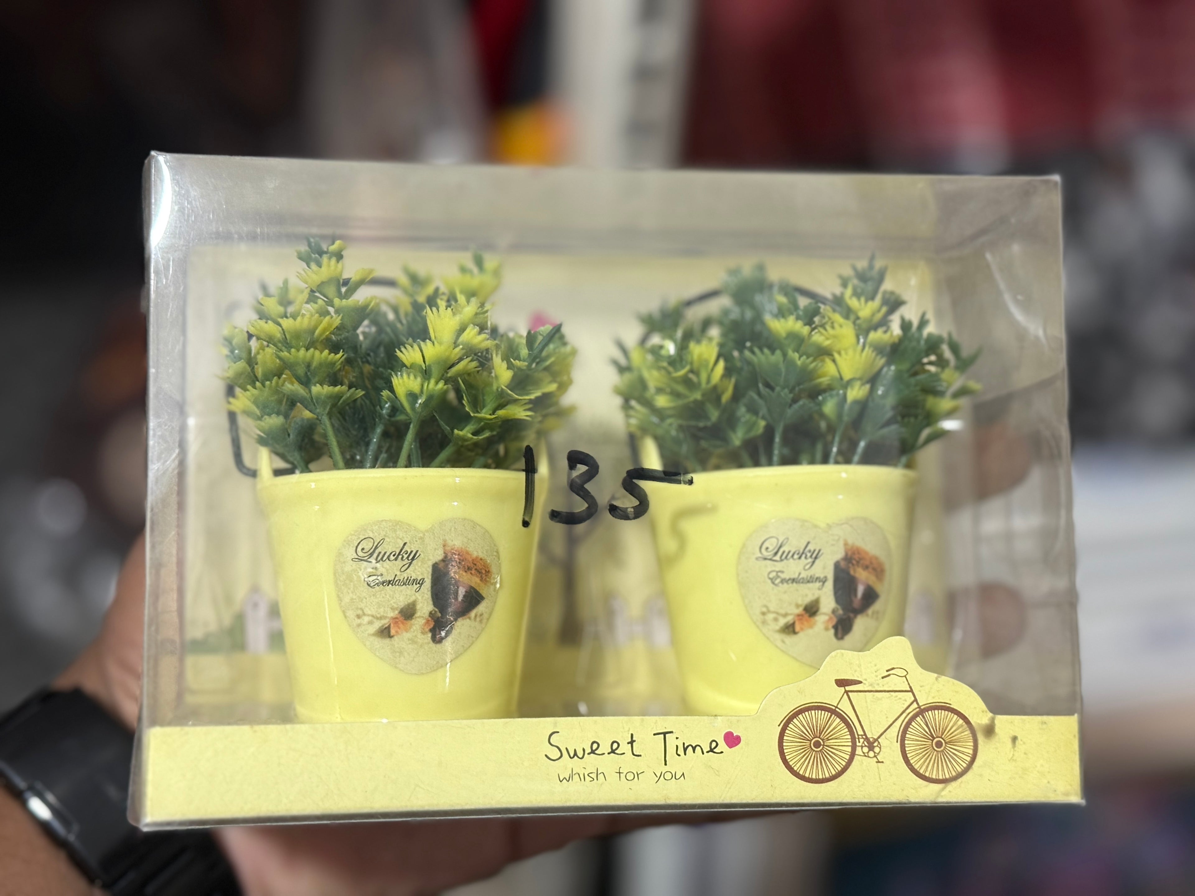 Miniature tree set - gift + home decor