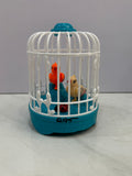 Birds in a Cage Music + Lights